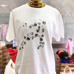 Ｔシャツ