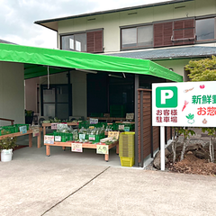 駐車場看板＆店舗内サイン＆幟（のぼり）