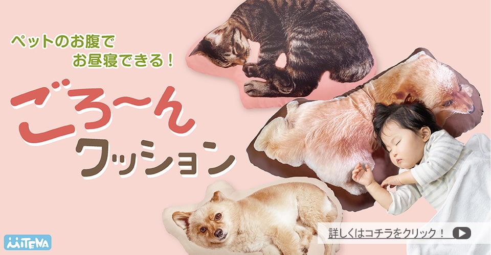 うちのこごろーんクッション