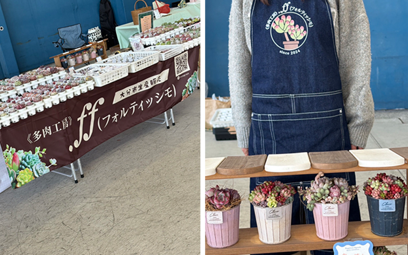 多肉工房 着用写真 設置写真 写真提供